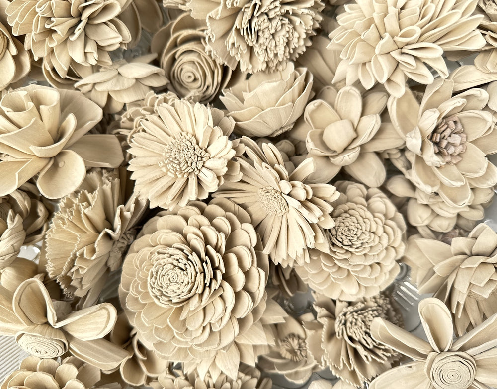 Sola Wood Flowers - Sandy Beach Dyed Flowers - Luv Sola Flowers