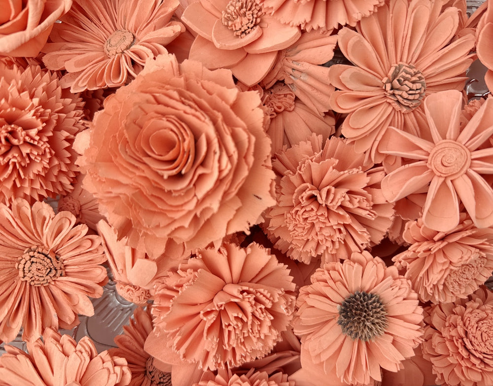 Sola Wood Flowers - Peach Dyed Flowers - Luv Sola Flowers