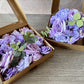 Artificial Flowers Combo Box - Lilac & Lavender - Luv Sola Flowers