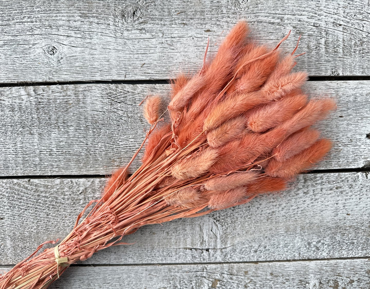 Bunny Tails - Luv Sola Flowers - Filler