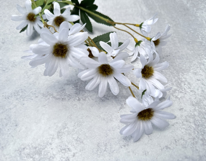 Daisy - Luv Sola Flowers - Faux Filler