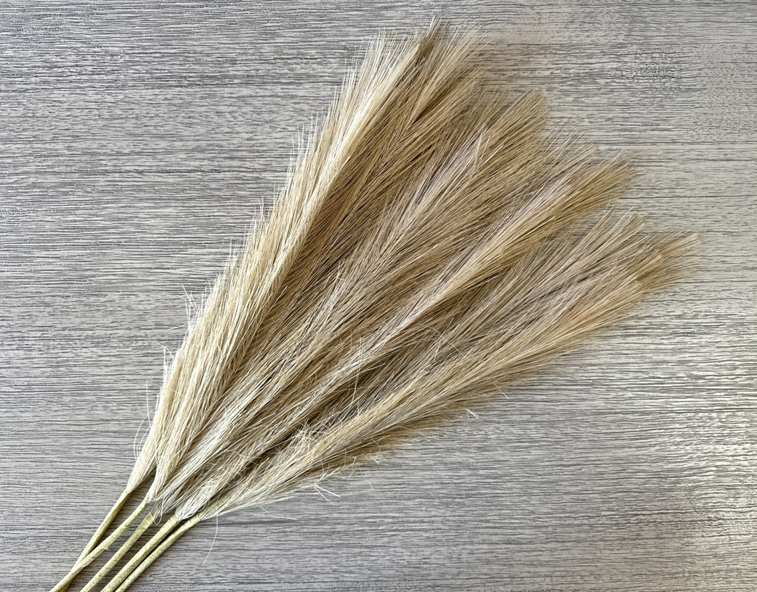 Faux Pampas Grass - Natural - Luv Sola Flowers