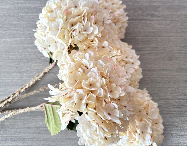 Faux Silk Hydrangea - Cream - Luv Sola Flowers