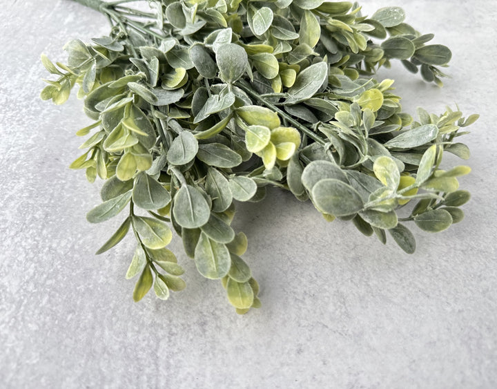 Frosted Boxwood Bush - Luv Sola Flowers - Faux Filler