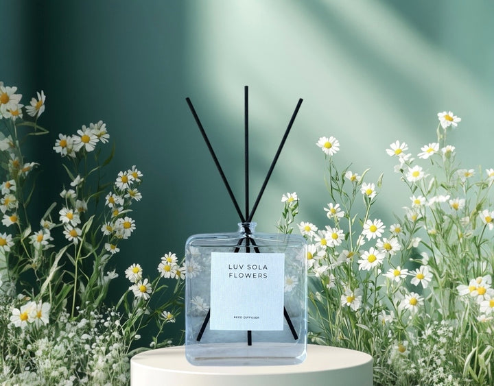 Reed Diffuser - White Peach Oolong - Luv Sola Flowers