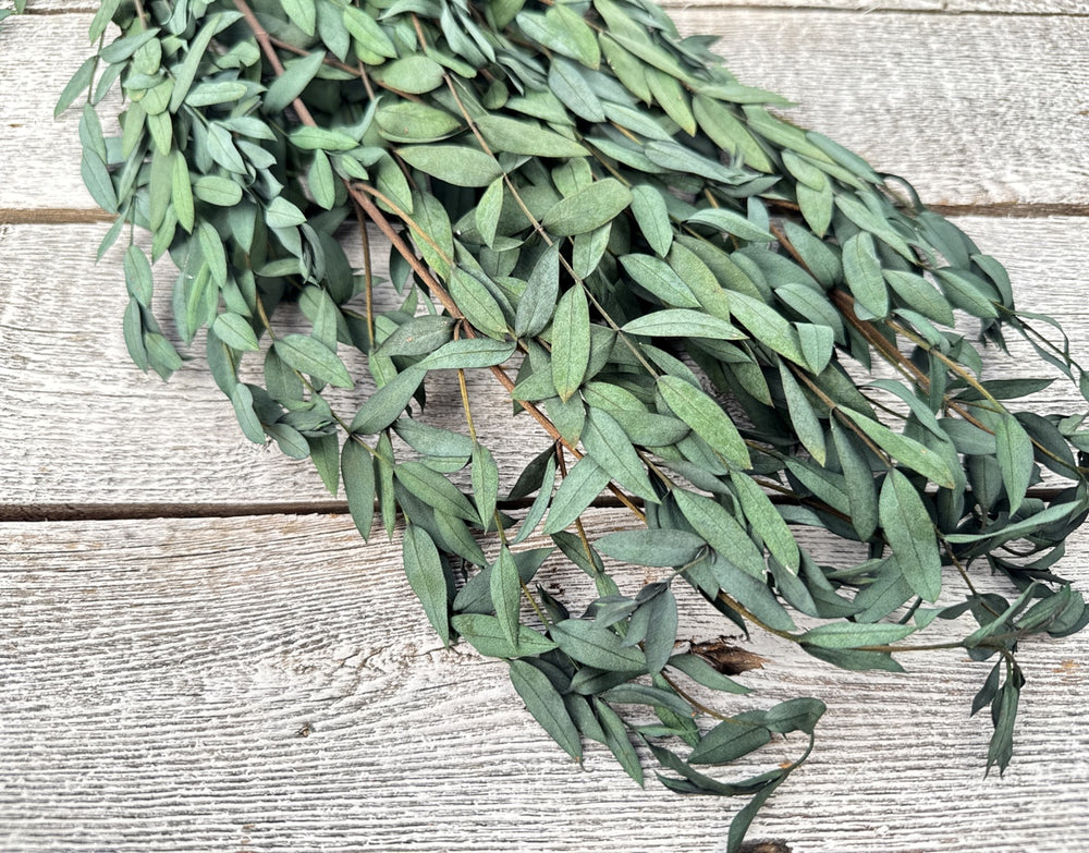 Preserved Teardrop Eucalyptus - Luv Sola Flowers - Filler