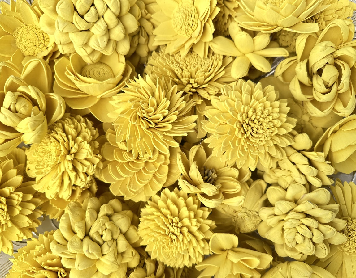 Sunny Yellow Dyed Sola Flowers - Pack of 12