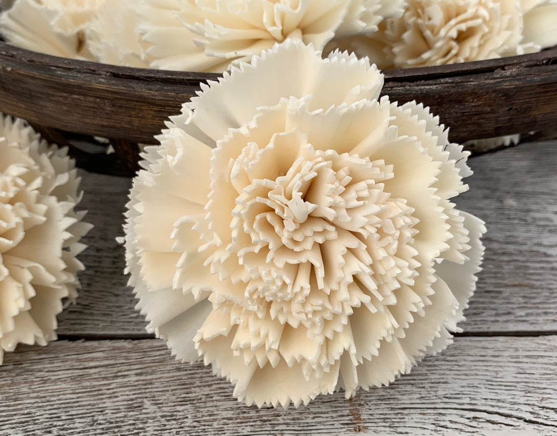 Sola Wood Flowers Bulk - Carnation - Oh! You're Lovely - Sola Wood Flowers