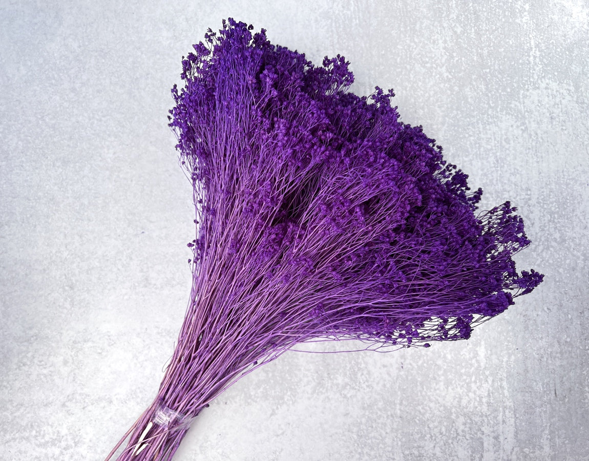 Dried Baby's Breath Flower Soft Purple