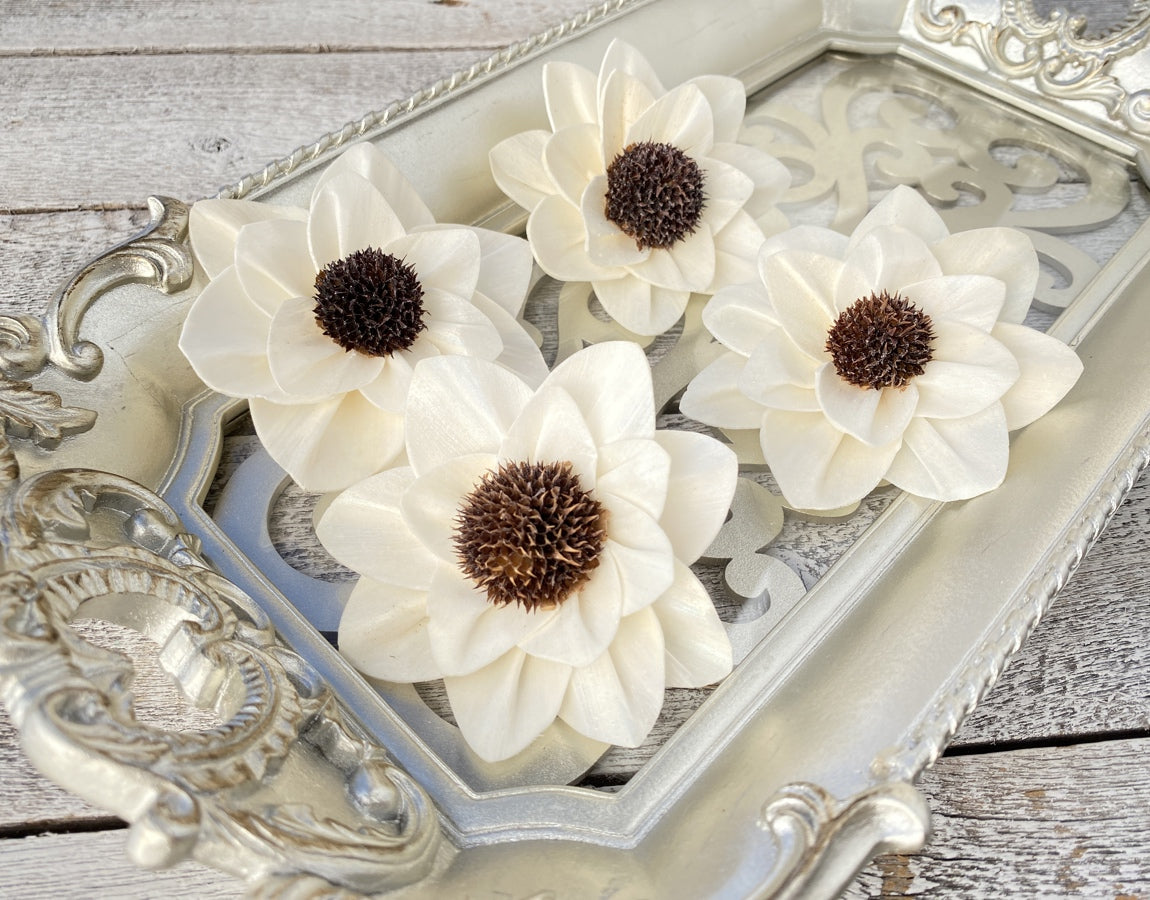 Raw Sola Wood Flowers - Luv Sola Flowers#N# – Page 2