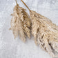 Reed Plumes - Brown - Luv Sola Flowers - Faux Filler